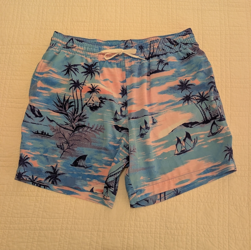 Chubbies Multicolor Swim Trunks - image 1